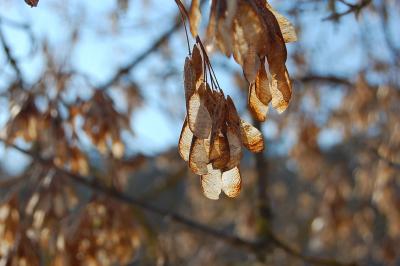 Прикрепленное изображение: 0769s.jpg